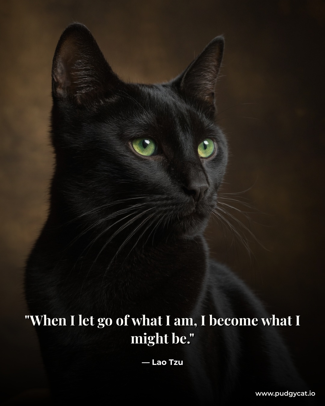 When I let go of what I am, I become what I might be. Lao Tzu