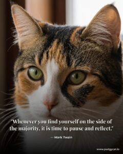 Whenever you find yourself on the side of the majority, it is time to pause and reflect. Mark Twain