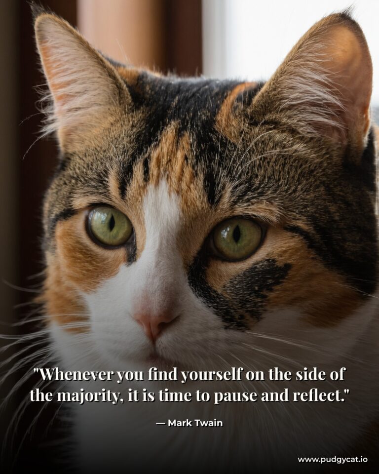 Whenever you find yourself on the side of the majority, it is time to pause and reflect. Mark Twain