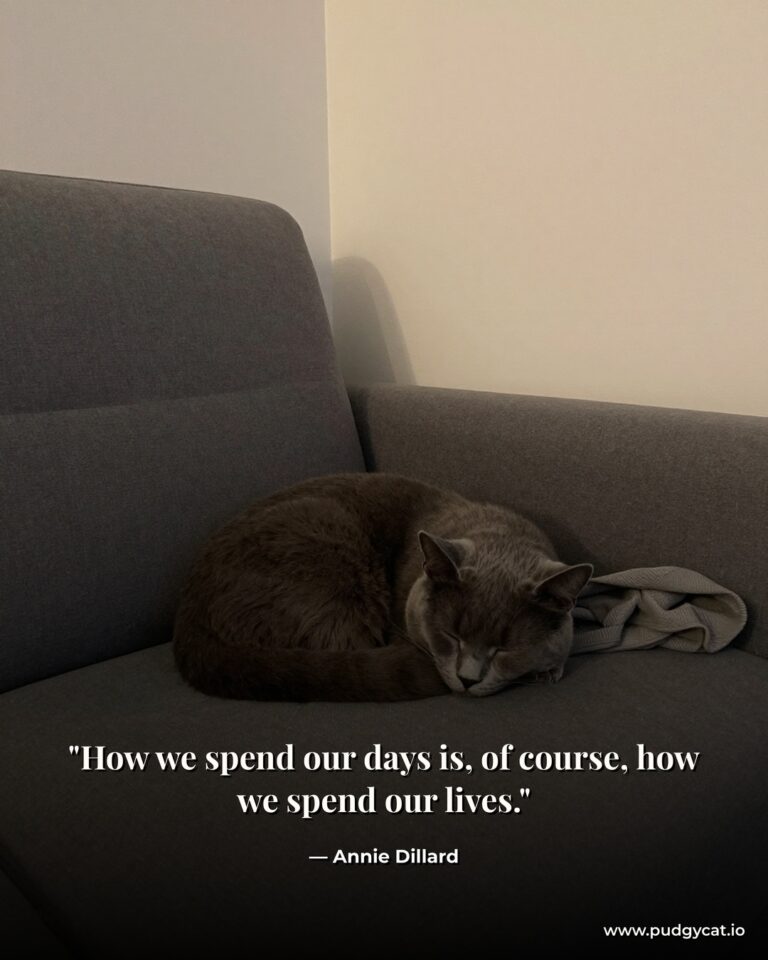 How we spend our days is, of course, how we spend our lives. Annie Dillard