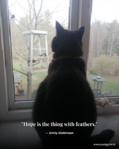 Hope is the thing with feathers. Emily Dickinson