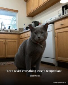 I can resist everything except temptation. Oscar Wilde