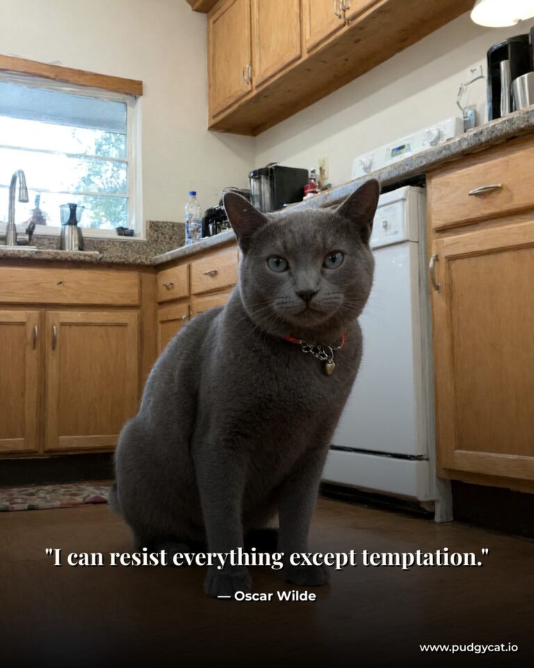 I can resist everything except temptation. Oscar Wilde