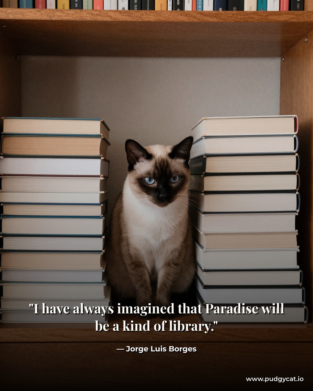 I have always imagined that Paradise will be a kind of library. Jorge Luis Borges