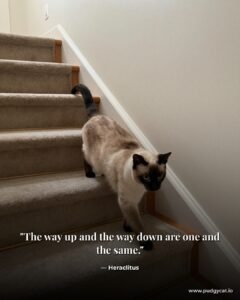 The way up and the way down are one and the same. Heraclitus