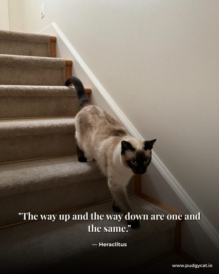 The way up and the way down are one and the same. Heraclitus