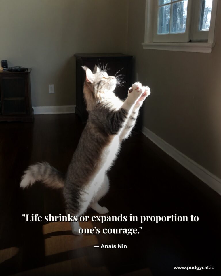 Life shrinks or expands in proportion to one's courage. Anaïs Nin
