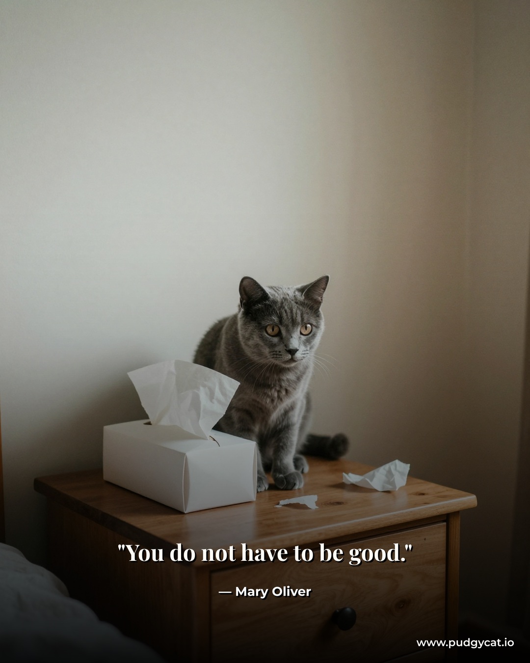 You do not have to be good. Mary Oliver