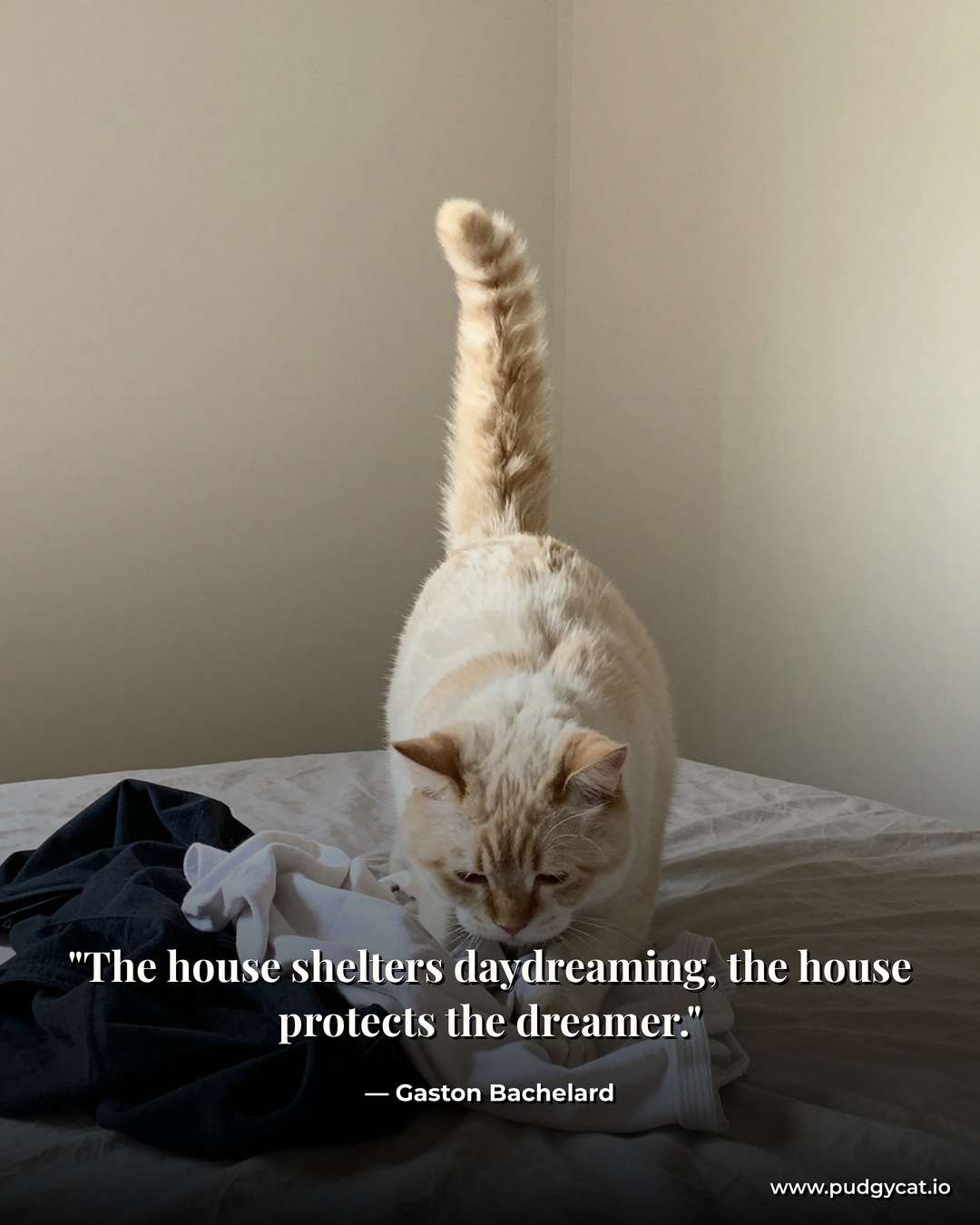 The house shelters daydreaming, the house protects the dreamer. Gaston Bachelard