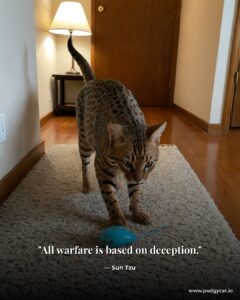 All warfare is based on deception. Sun Tzu