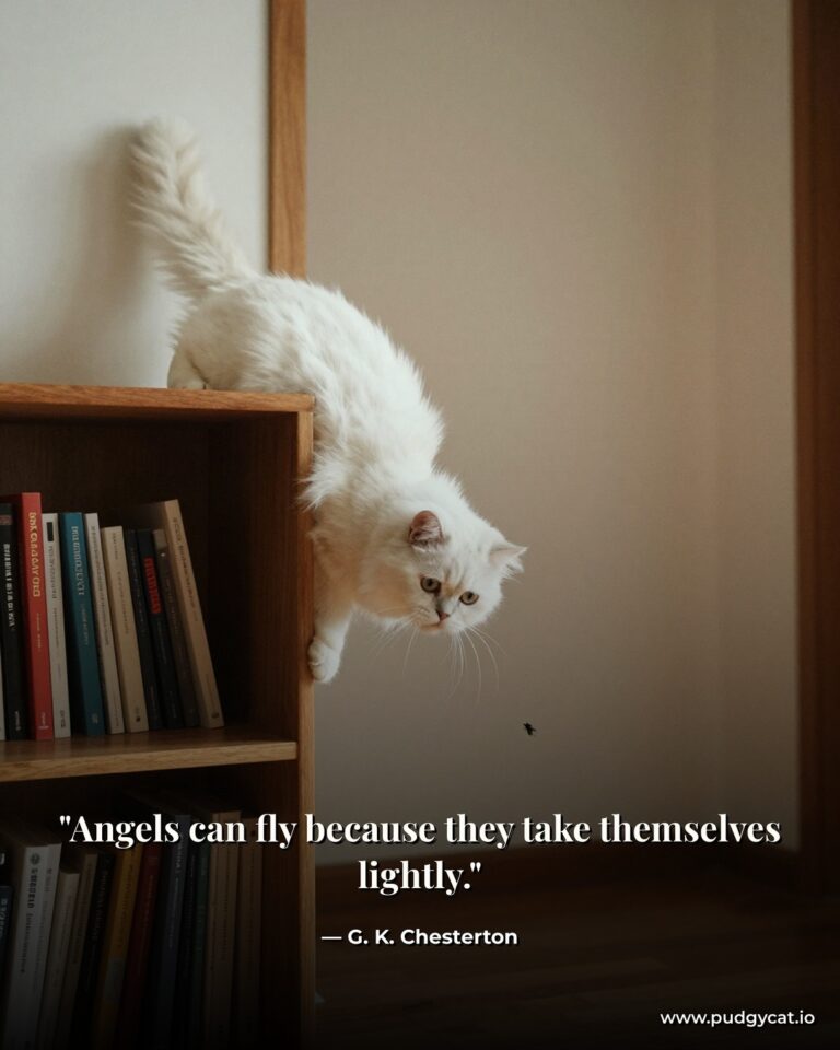 Angels can fly because they take themselves lightly. G. K. Chesterton