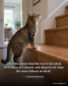 He who cannot find the way to his ideal, lives more frivolously and shamelessly than the man without an ideal. Friedrich Nietzsche