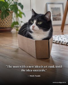 The man with a new idea is a Crank until the idea succeeds. Mark Twain