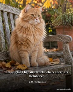 I'm so glad I live in a world where there are Octobers. L. M. Montgomery
